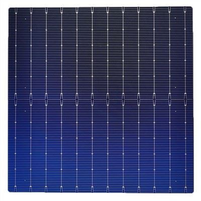 Cèl·lula solar tipus N de 210 mm M12 HJT